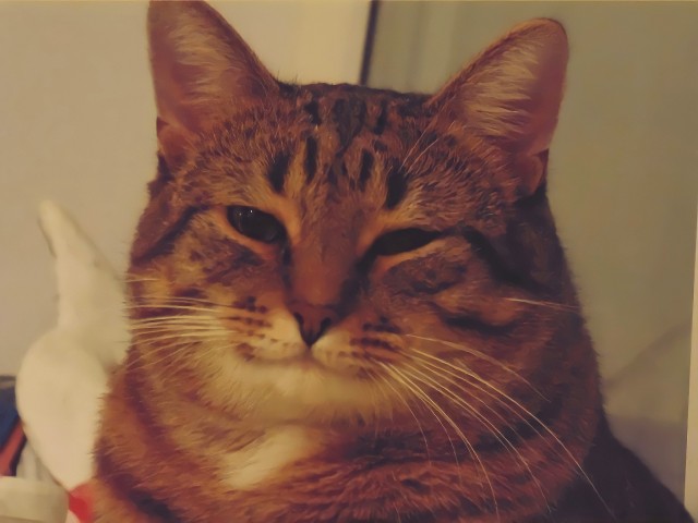 Ну наконец-то
