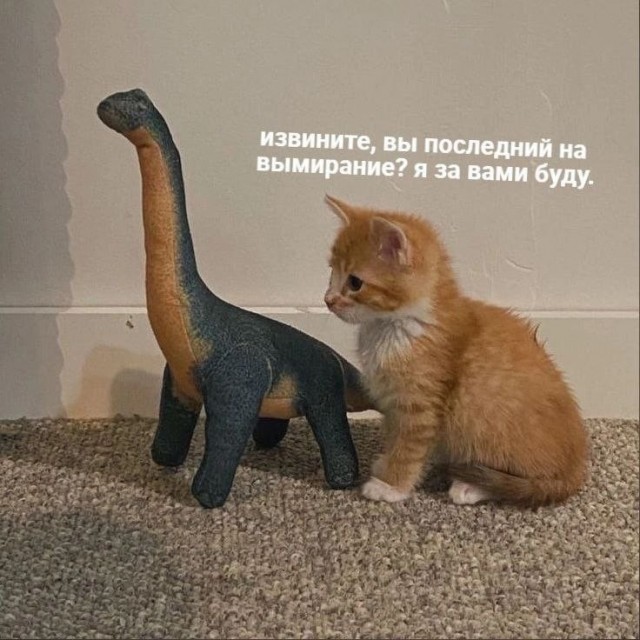 Всего понемногу. Пятничный