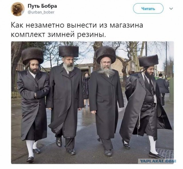 Как размножаются ортодоксальные евреи. Их странные сексуальные привычки и обычаи.