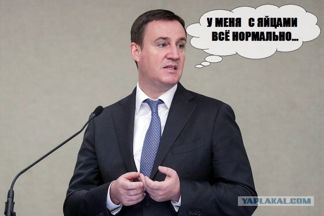 Россиянам напомнили о весьма дешевых по сравнению с другими странами яйцах
