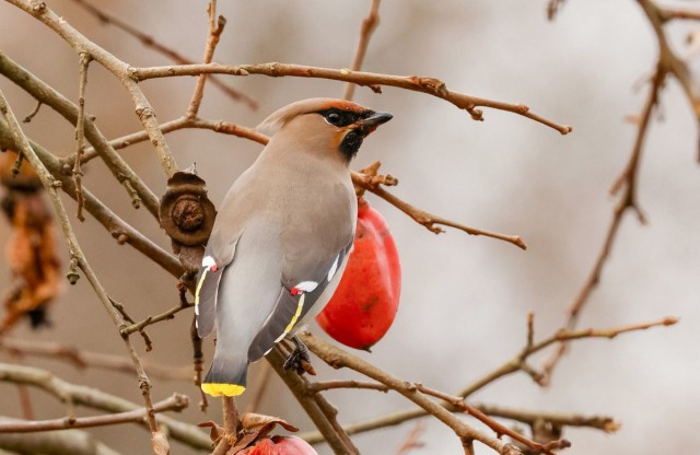 Подборка интересных и веселых картинок 12.02.24