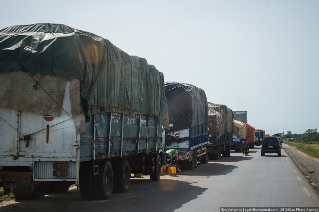 Только крокодилы спасут эту страну от мудаков!