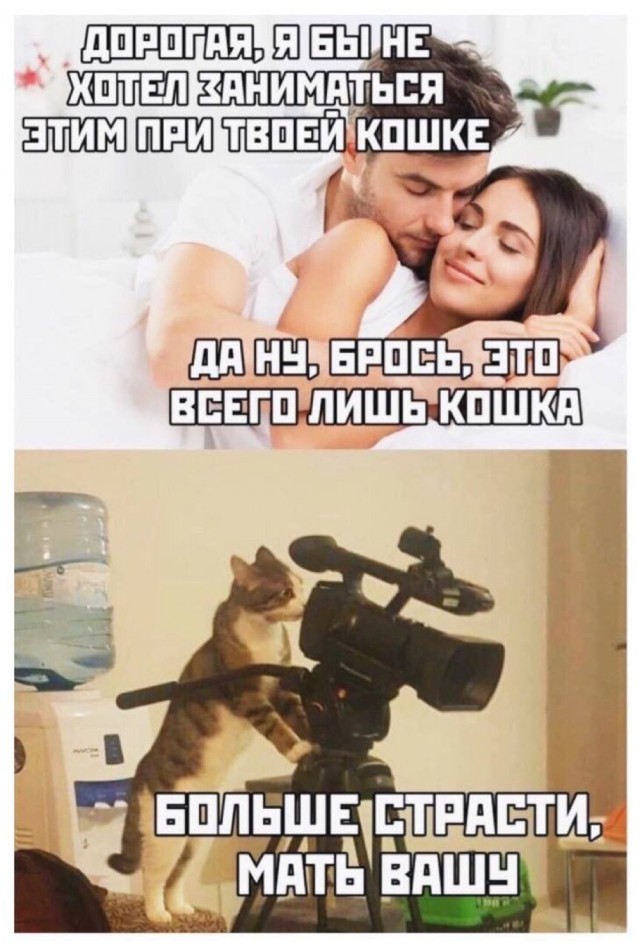 Так себе картинки 07.07.24