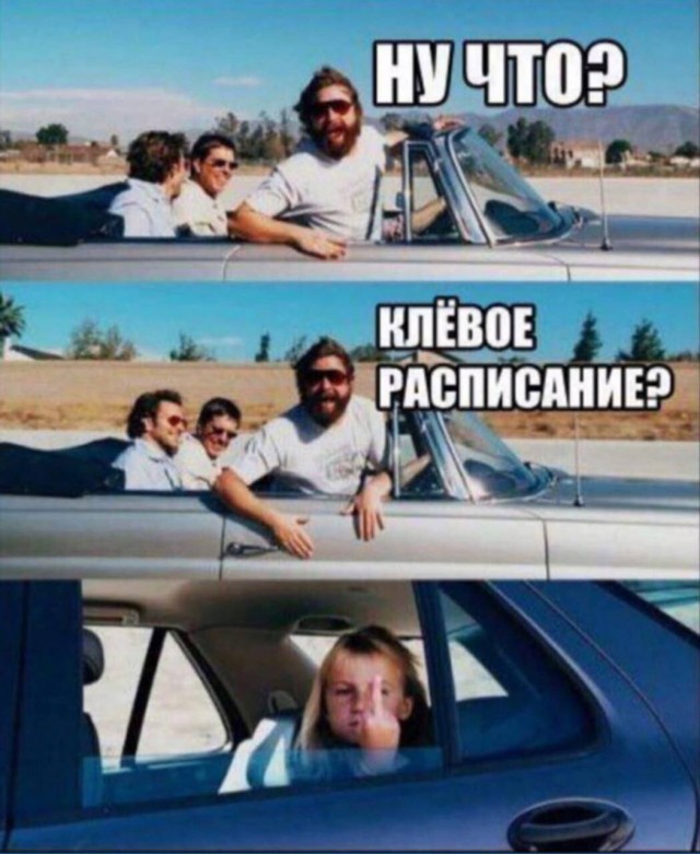 Баяны на школьную тематику