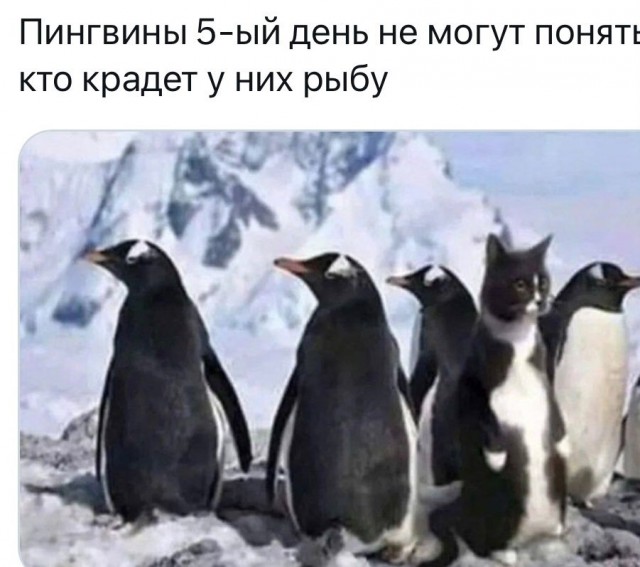 Завалялось тут случайно немного забавных картинок