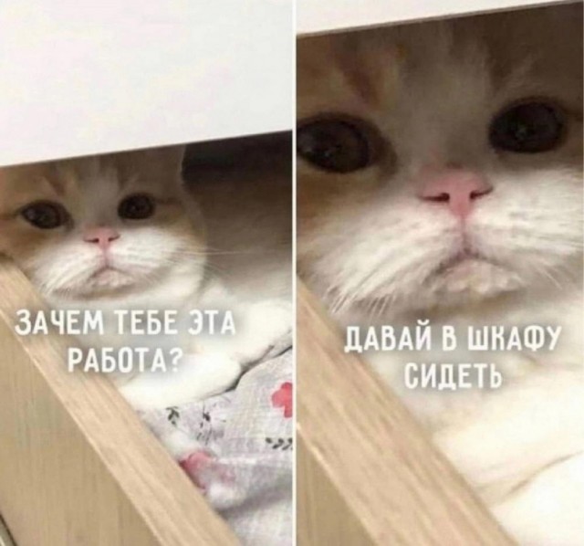 Крепость сдается?