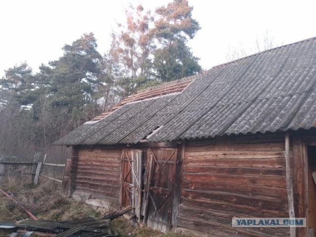 Жизнь домашнего приюта для котеек 525