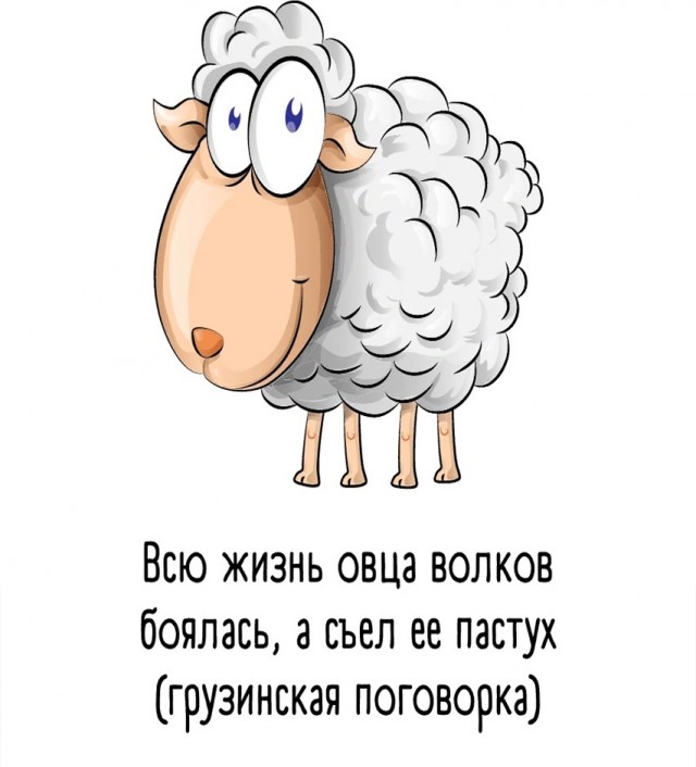 Так себе картинки 11.02.25
