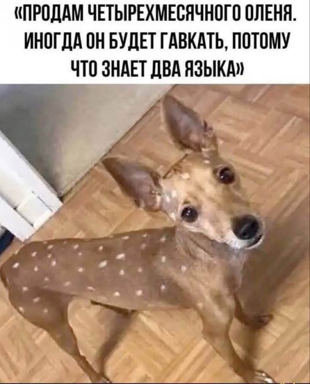 Так себе картинки 29.04.25