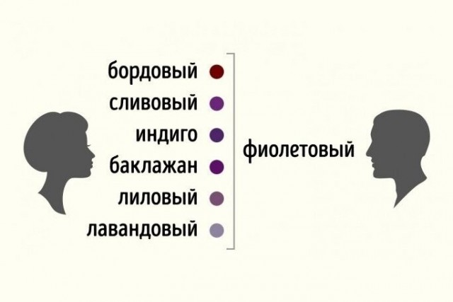 Эта привычка за столом сразу выдает низкий интеллект человека