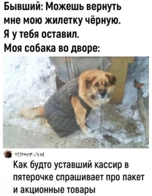 Весёлый полтишок 08.09.25