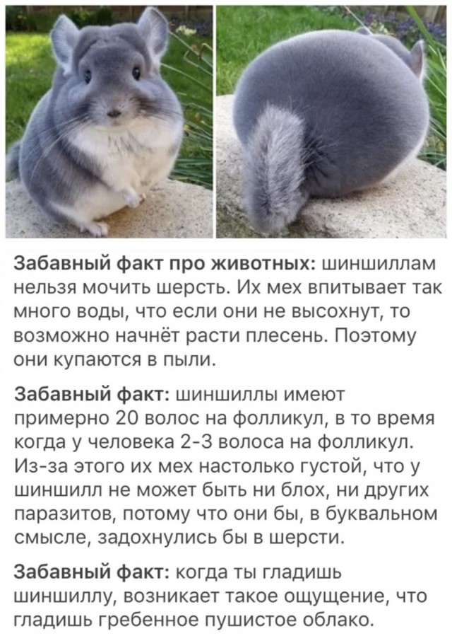 Так себе картинки 06.10.25