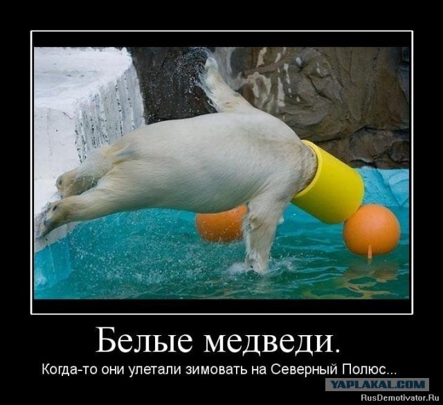 А ну стой! За проезд кто платить будет?!