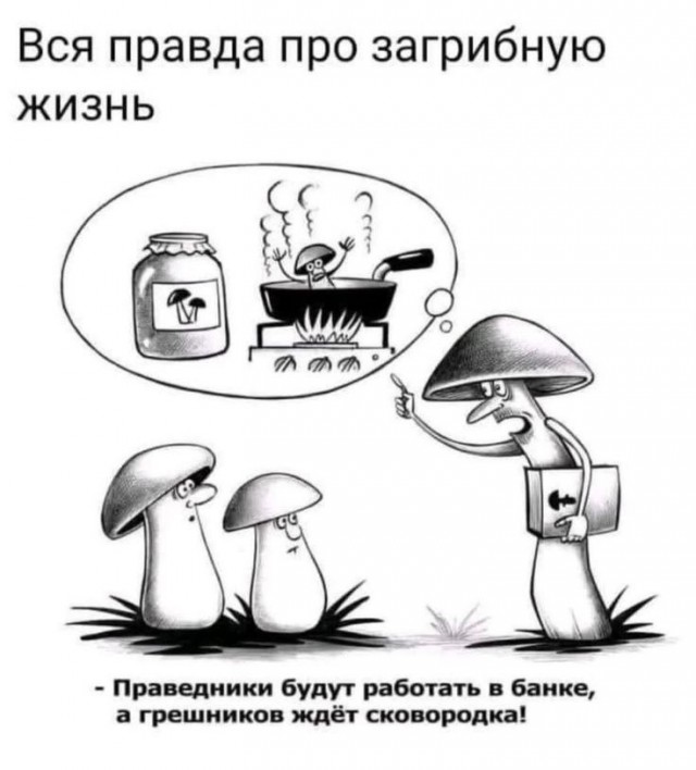 Картинки для деградации 130 (разной степени свежести)
