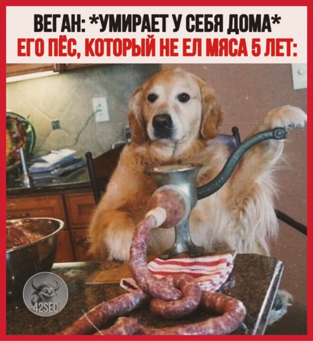 Деградация