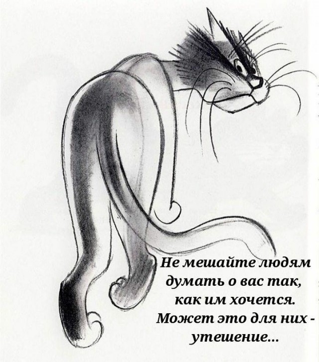 Тема дня