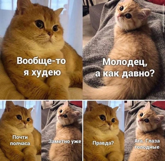 Котямбосы