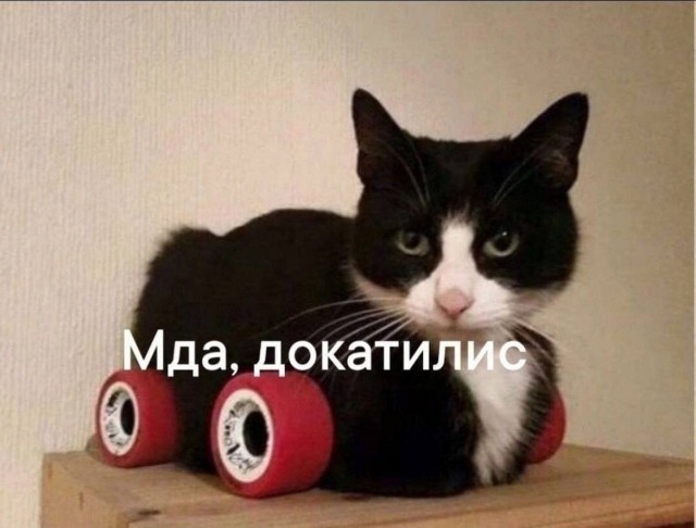 Нуштош. Убийство зрителя (s5e7)