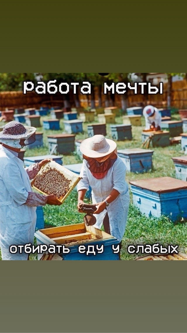Деградация