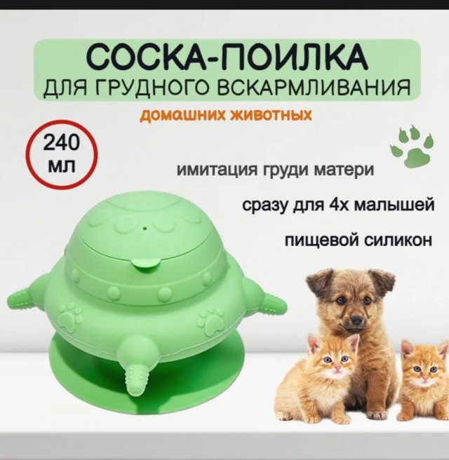 Собакочетверг, пополнение