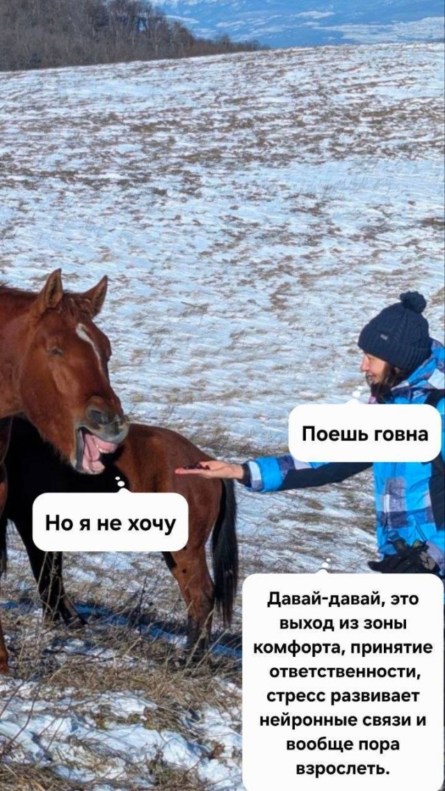 Картинки для деградации 254 (разной степени сежести)