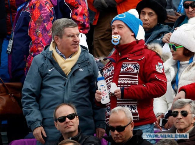 Как Путин и Медведев смотрят Олимпиаду