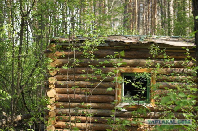 Отставшие от жизни