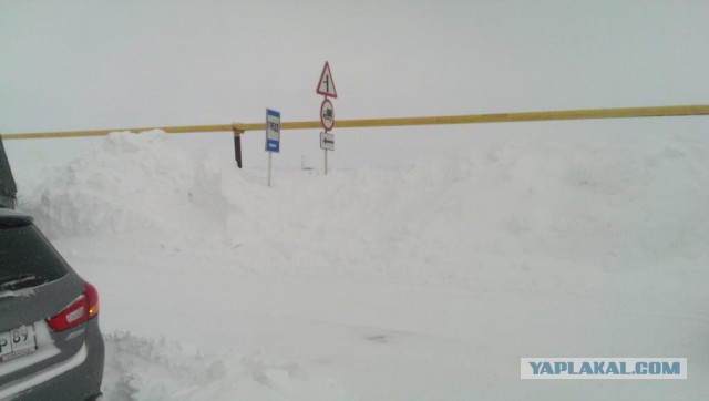 Заполярье ЯНАО