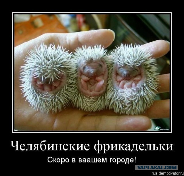 Чёрт, чёрт, чёрт!