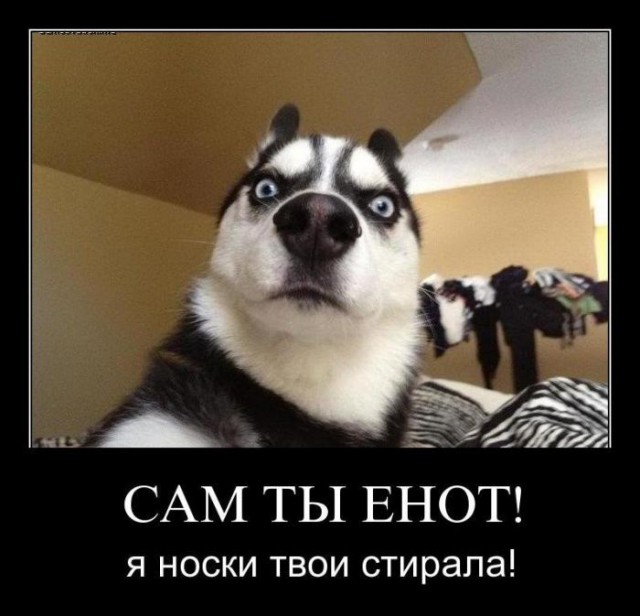 Моя подборка веселенькой мути