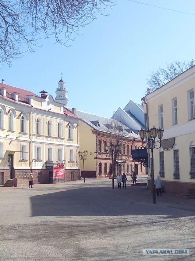 Миграция московского планктона