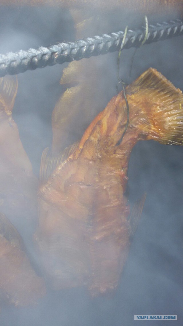 Делаем дымогенератор для копчения.