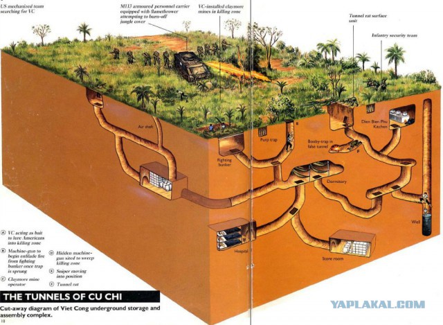 Муравьиное братство: пьяные оргии, «Поза чемоданчика» и «Не пади врагу»