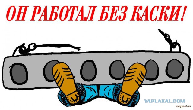 Попытка поднять электрического ската голыми руками