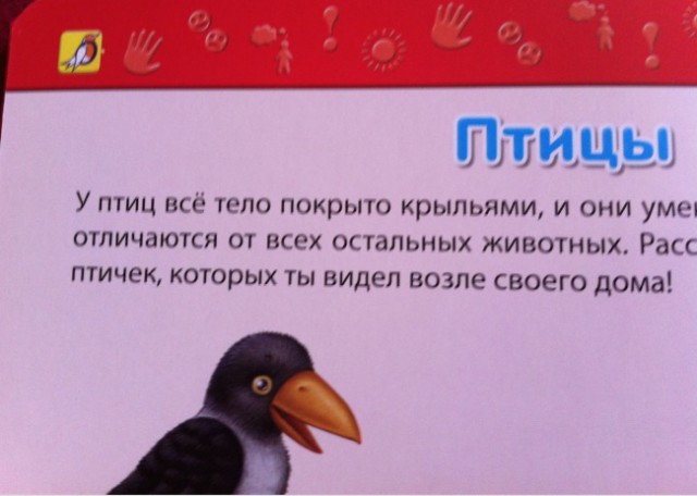 Детские учебники, авторам которых точно пора в отпуск