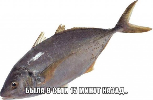 Забавные фото с надписями