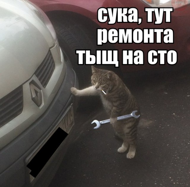 Подборка интересных и веселых картинок