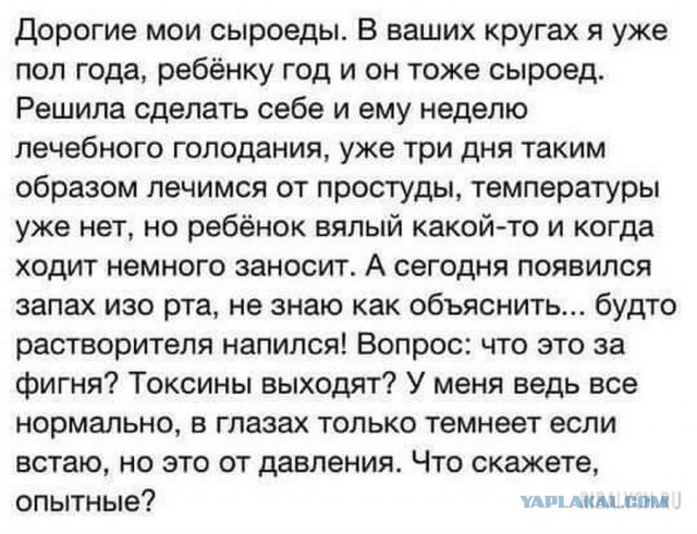 Яжематери осваивают собирательство