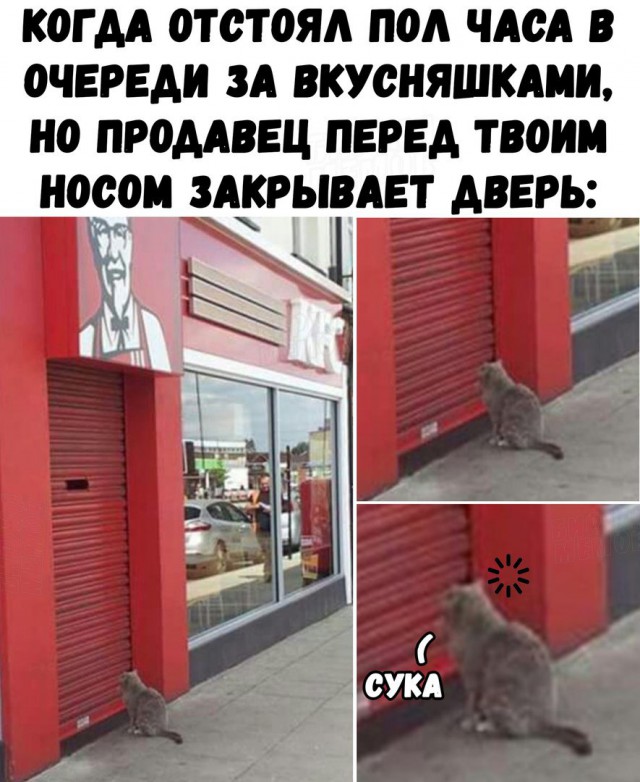 Приколы в стиле "регресс"