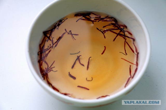 ЯПКулинарии 12 лет