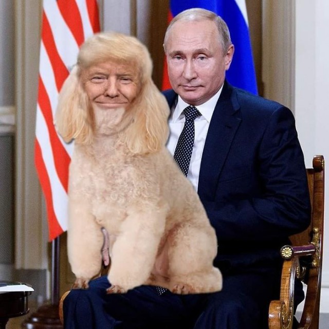 Оседлал. Или как за бугром видят Путина и Трампа