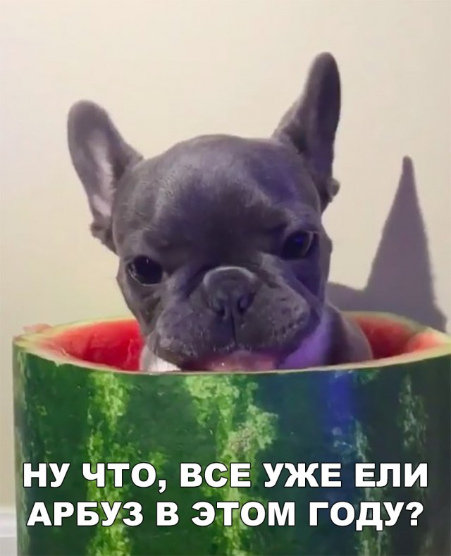 Нестандартный юмор