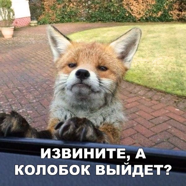 Нестандартный юмор