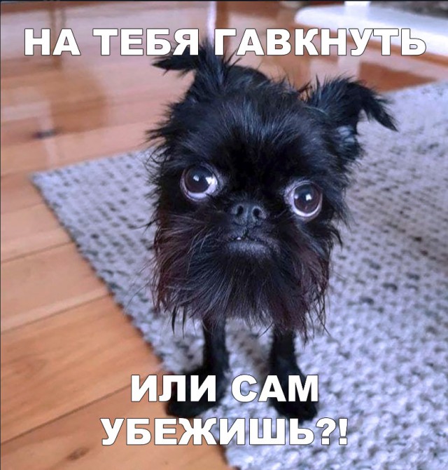 Нестандартный юмор