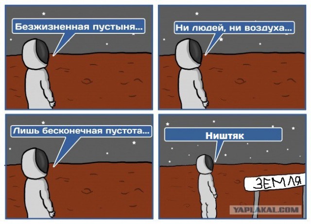Двинско-Пинежское междуречье: как исчезают первозданные леса