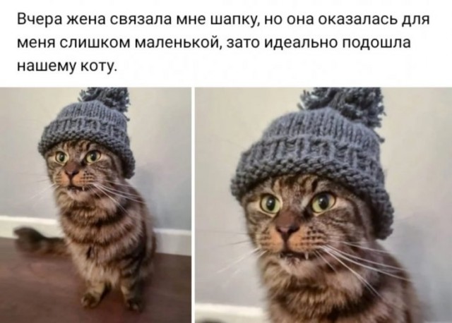 Немного картинок для настроения 07.11.19