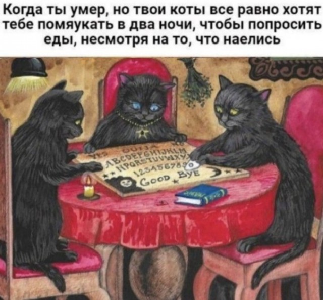 Здесь вам не рады