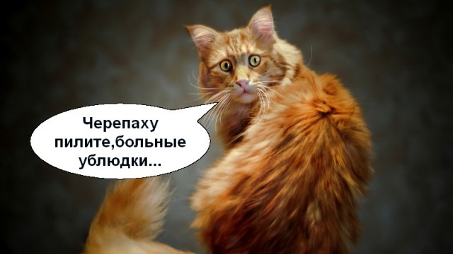 О годности к Семье