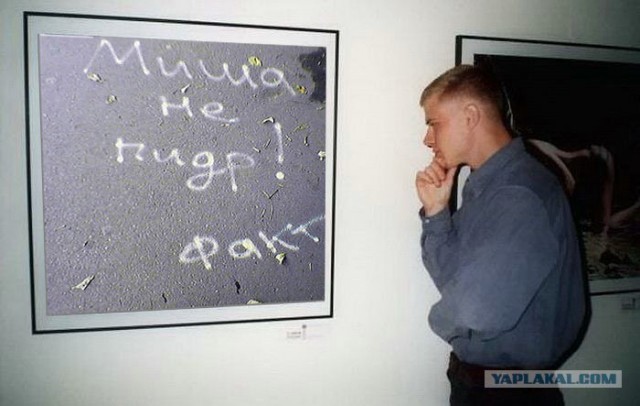 Фотожаба: Молодой ценитель