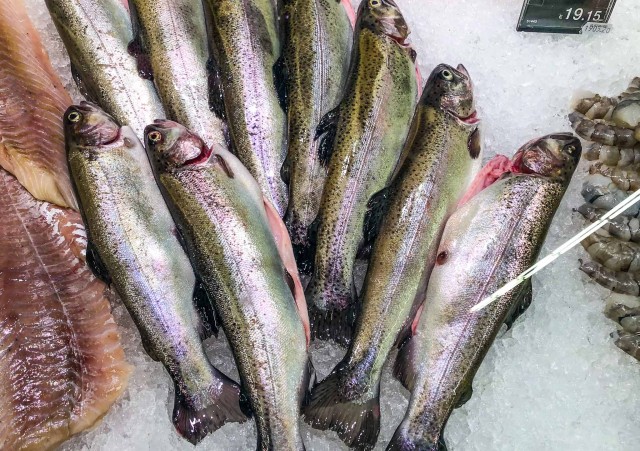 Кулинария: Камчатская семга на кедровой дощечке.